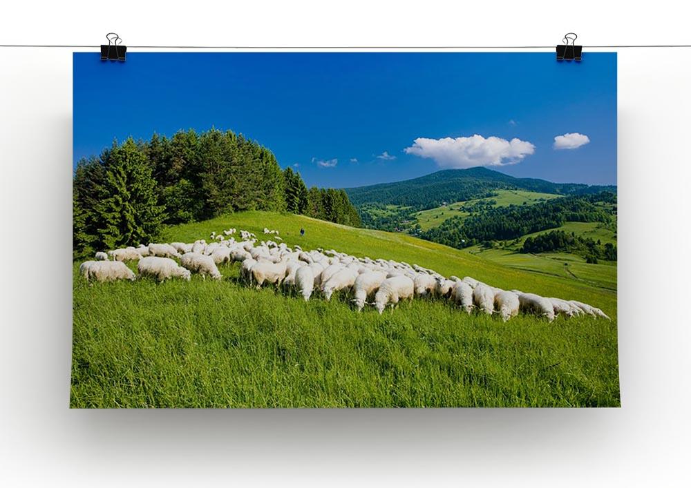 Sheep herds Canvas Print or Poster - Canvas Art Rocks - 2