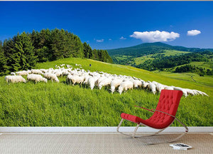 Sheep herds Wall Mural Wallpaper - Canvas Art Rocks - 2