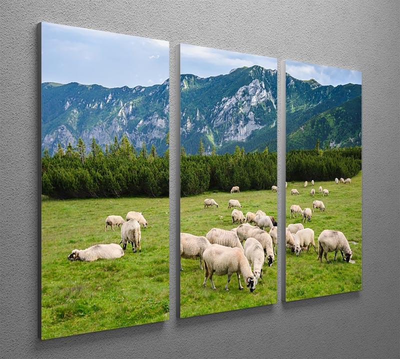 Sheep herds at alpine pastures 3 Split Panel Canvas Print - Canvas Art Rocks - 2