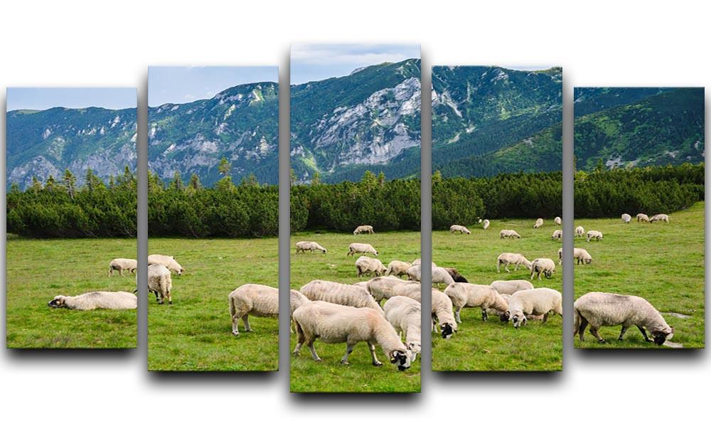 Sheep herds at alpine pastures 5 Split Panel Canvas - Canvas Art Rocks - 1