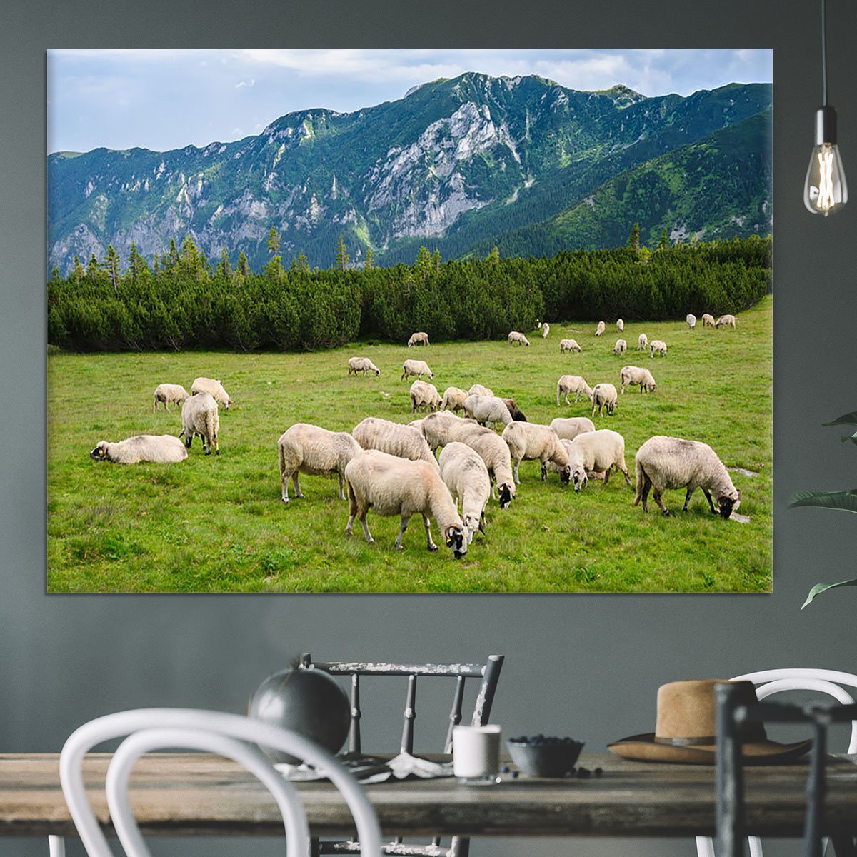 Sheep herds at alpine pastures Canvas Print or Poster