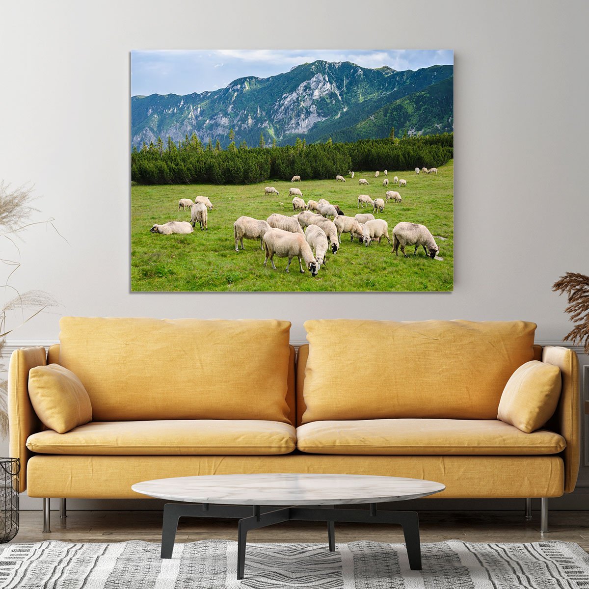Sheep herds at alpine pastures Canvas Print or Poster