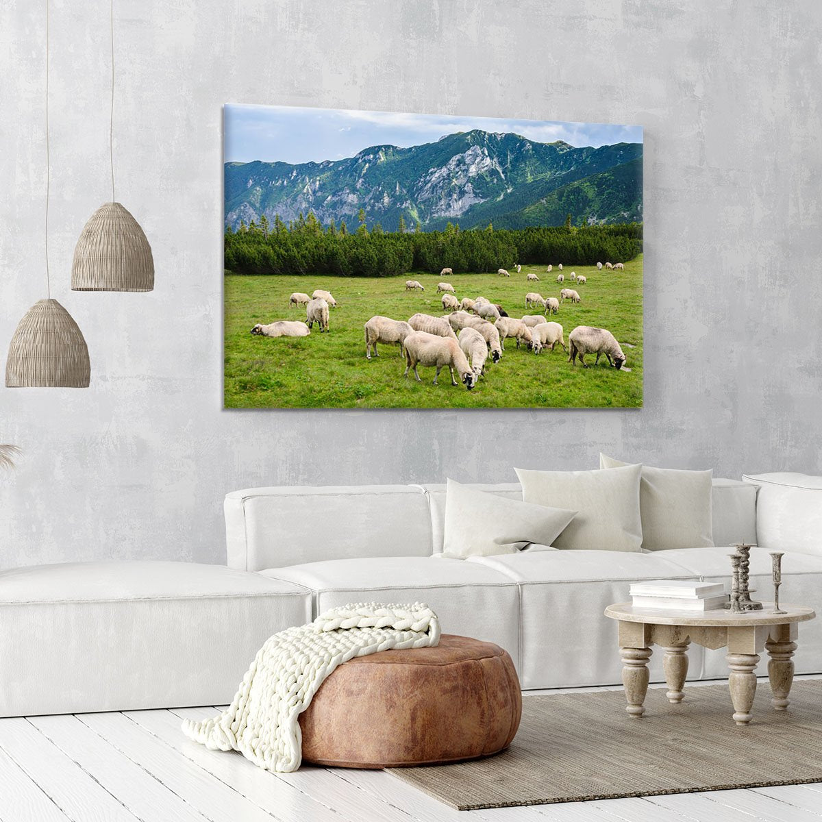 Sheep herds at alpine pastures Canvas Print or Poster