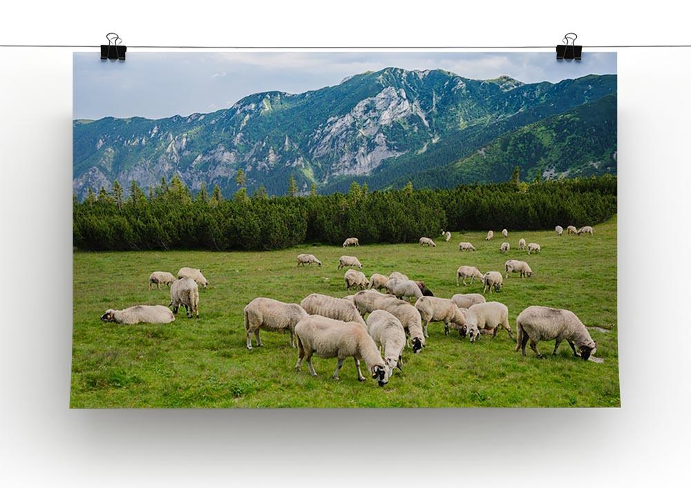 Sheep herds at alpine pastures Canvas Print or Poster - Canvas Art Rocks - 2