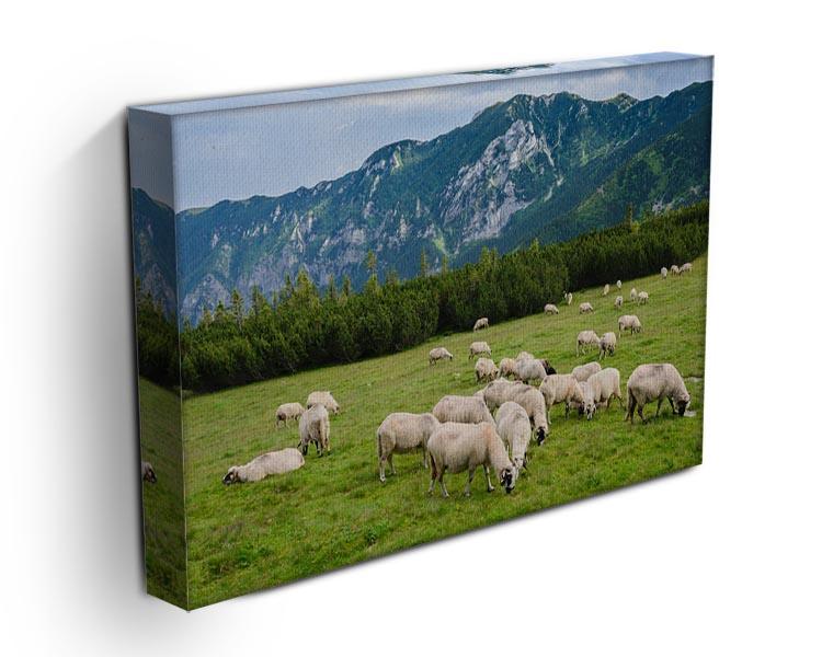 Sheep herds at alpine pastures Canvas Print or Poster - Canvas Art Rocks - 3