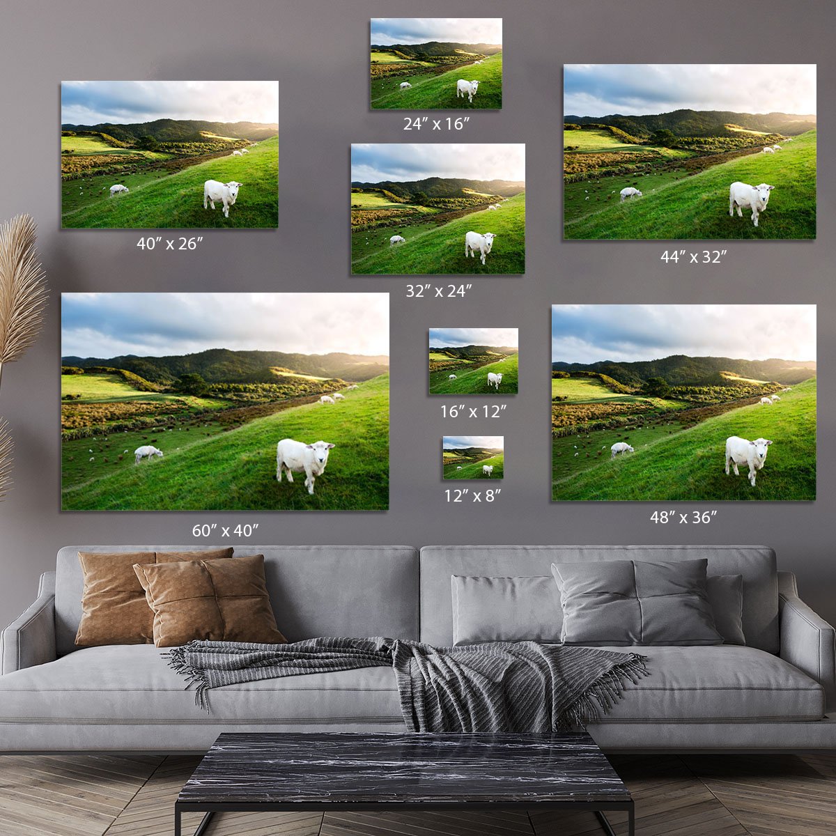 Sheep in farm in New Zealand Canvas Print or Poster