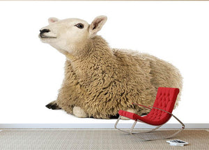 Sheep lying and looking up Wall Mural Wallpaper - Canvas Art Rocks - 2