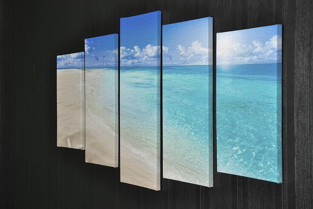 Shells on sunny beach 5 Split Panel Canvas - Canvas Art Rocks - 2