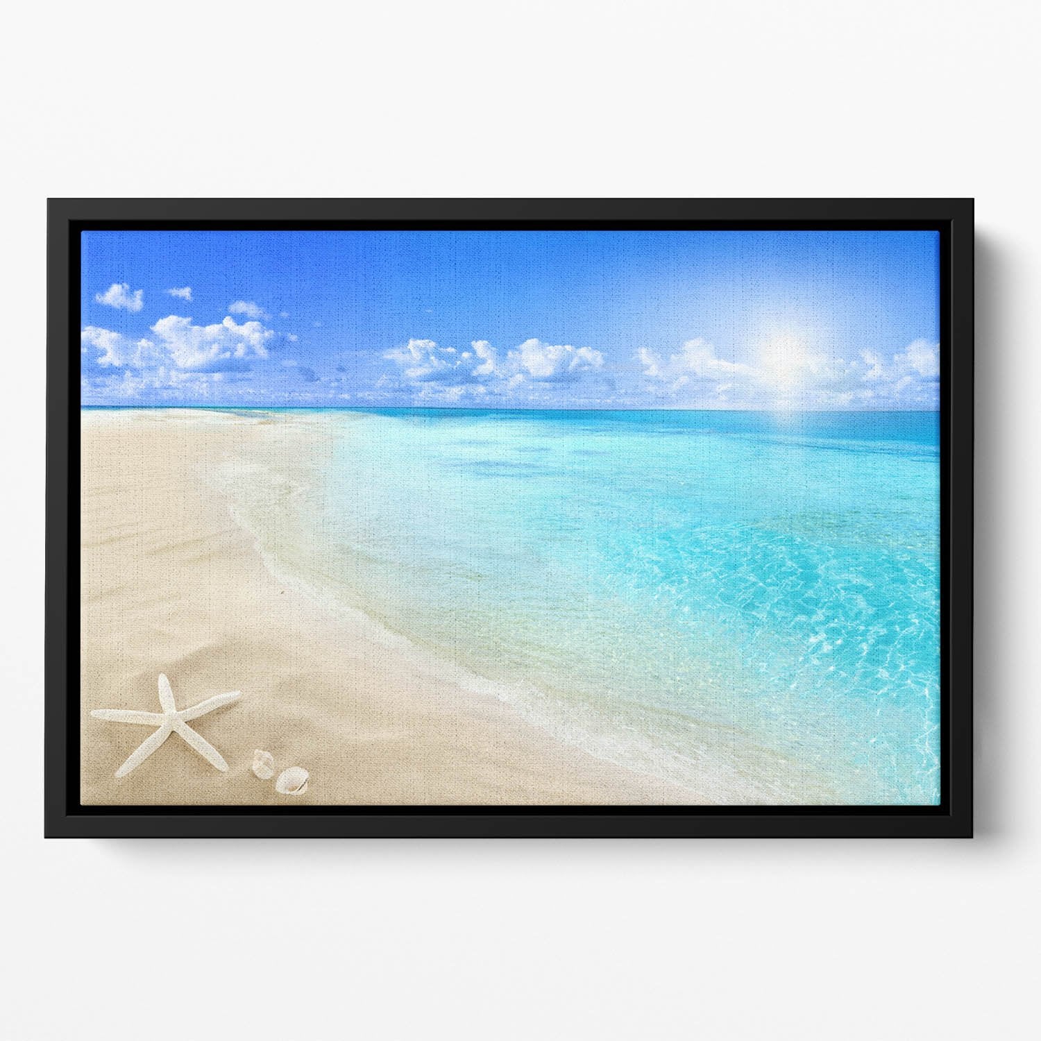 Shells on sunny beach Floating Framed Canvas