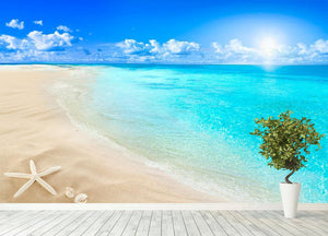 Shells on sunny beach Wall Mural Wallpaper - Canvas Art Rocks - 4