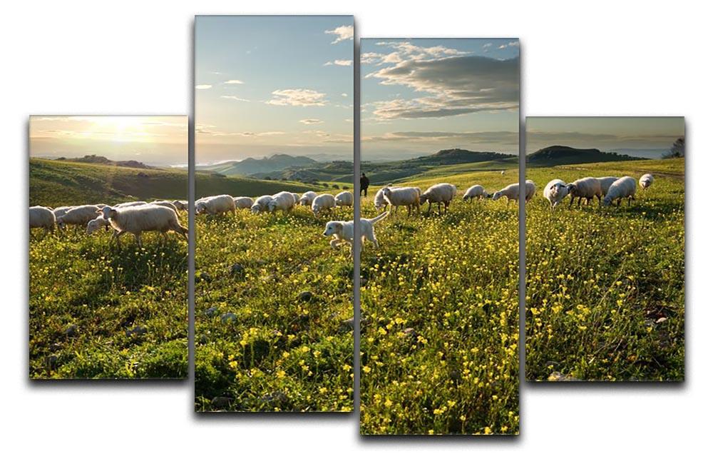 Shepherd with dog and sheep 4 Split Panel Canvas - Canvas Art Rocks - 1