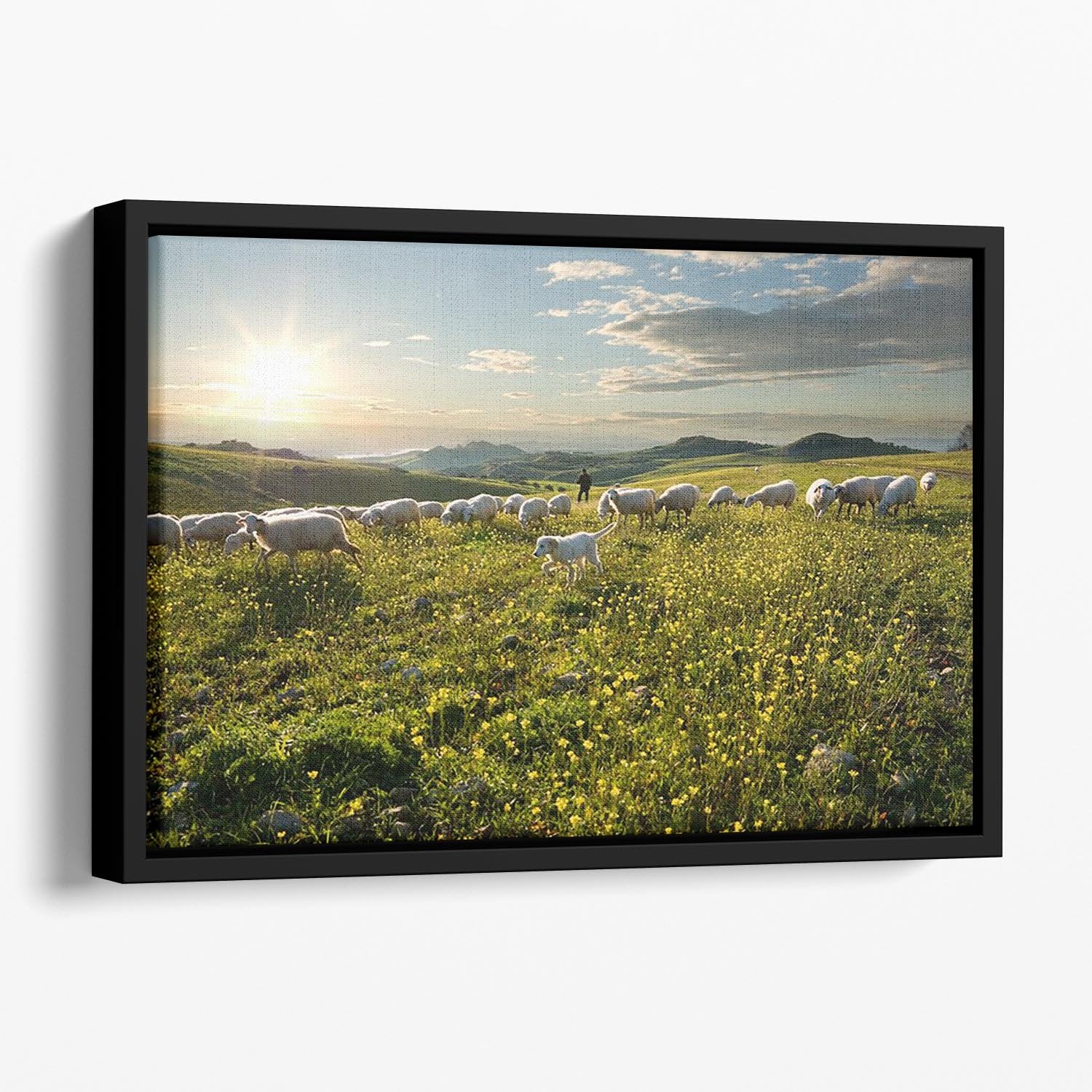Shepherd with dog and sheep Floating Framed Canvas - Canvas Art Rocks - 1