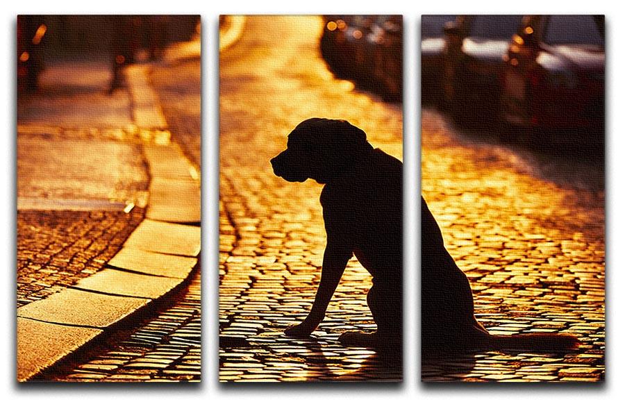 Silhouette of the dog on the street at sunset 3 Split Panel Canvas Print - Canvas Art Rocks - 1