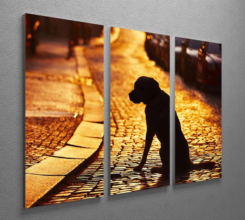 Silhouette of the dog on the street at sunset 3 Split Panel Canvas Print - Canvas Art Rocks - 2