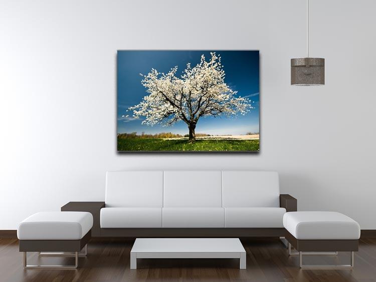 Single blossoming tree in spring Canvas Print or Poster - Canvas Art Rocks - 4