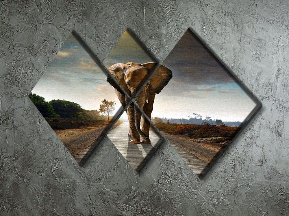 Single elephant walking in a road 4 Square Multi Panel Canvas - Canvas Art Rocks - 2