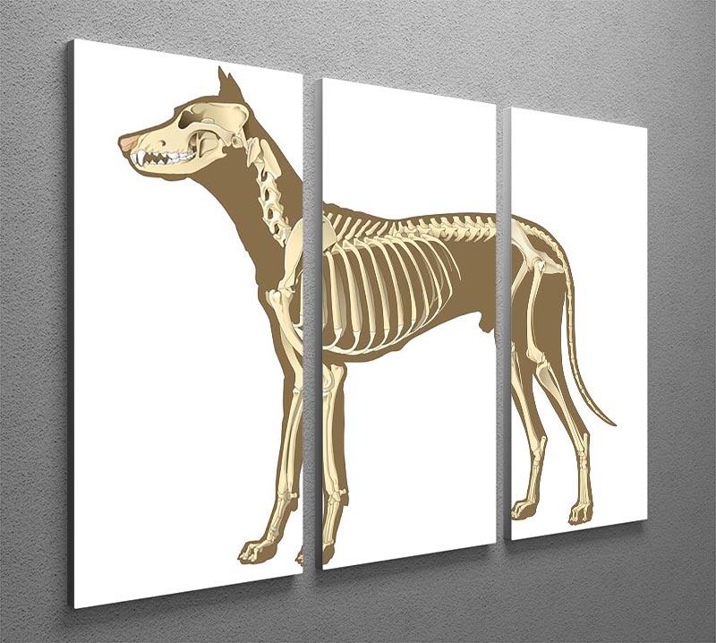 Skeleton of dog section with bones x ray 3 Split Panel Canvas Print - Canvas Art Rocks - 2