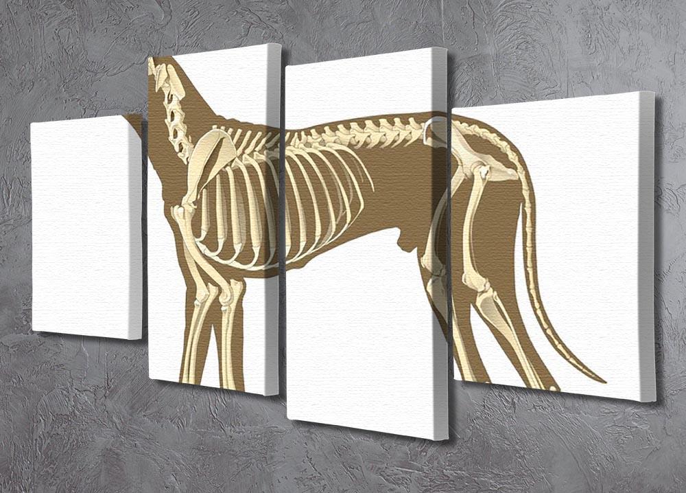 Skeleton of dog section with bones x ray 4 Split Panel Canvas - Canvas Art Rocks - 2