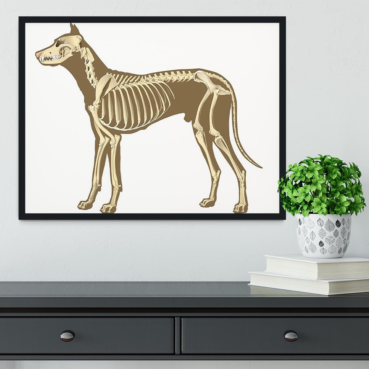 Skeleton of dog section with bones x ray Framed Print - Canvas Art Rocks - 2