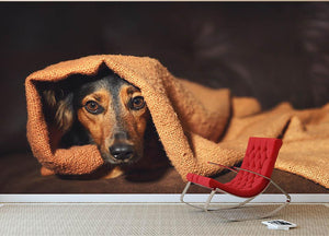 Small black and brown dog hiding under orange blanket Wall Mural Wallpaper - Canvas Art Rocks - 2