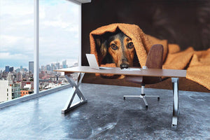 Small black and brown dog hiding under orange blanket Wall Mural Wallpaper - Canvas Art Rocks - 3