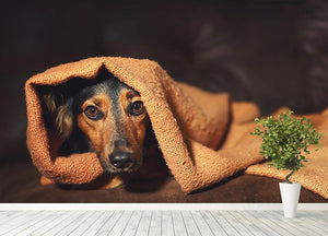 Small black and brown dog hiding under orange blanket Wall Mural Wallpaper - Canvas Art Rocks - 4