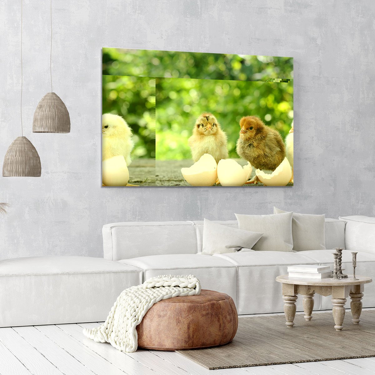 Small chicks and egg shells Canvas Print or Poster