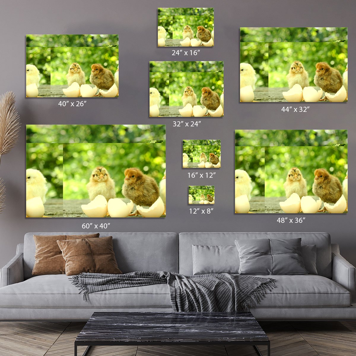 Small chicks and egg shells Canvas Print or Poster