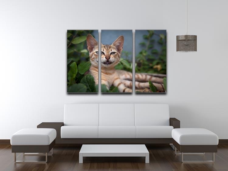 Smiling Cat 3 Split Panel Canvas Print - Canvas Art Rocks - 3