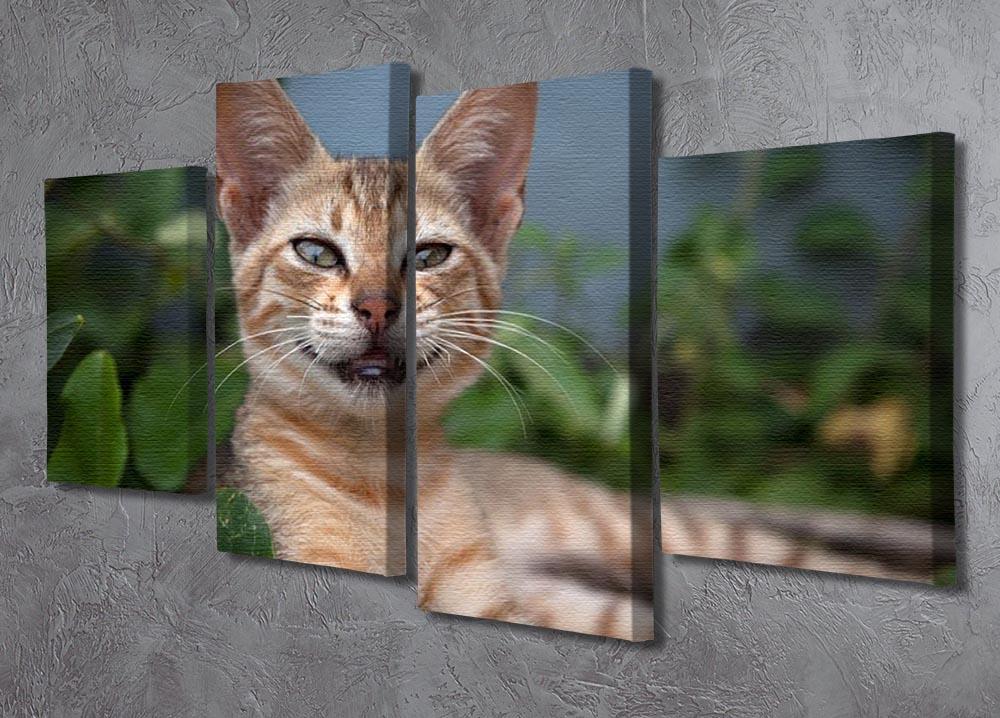 Smiling Cat 4 Split Panel Canvas - Canvas Art Rocks - 2
