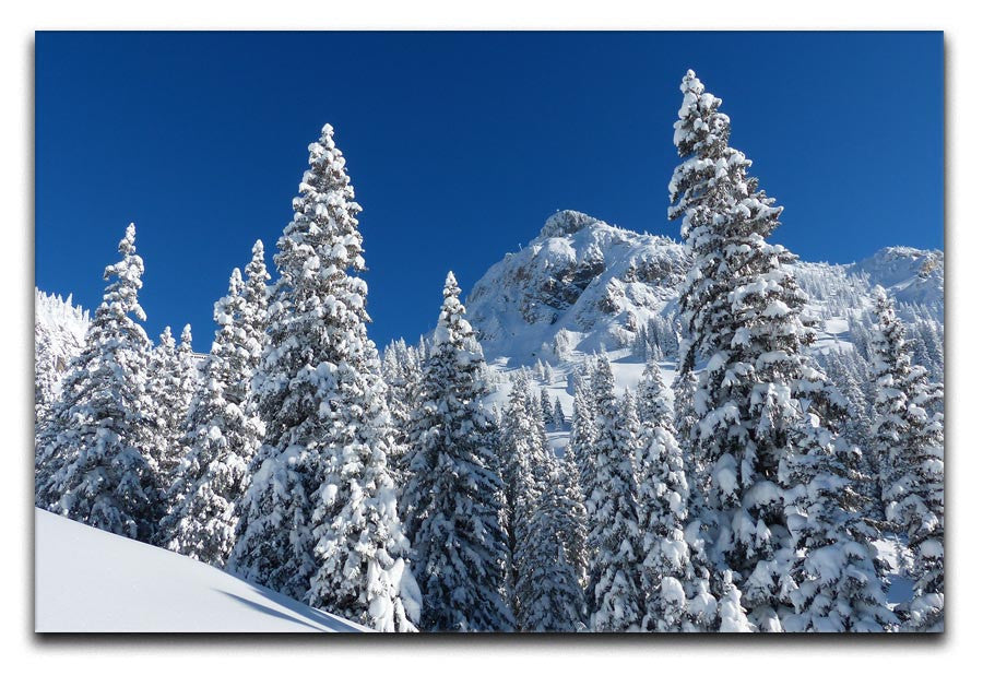 Snow Covered Trees Print - Canvas Art Rocks - 1