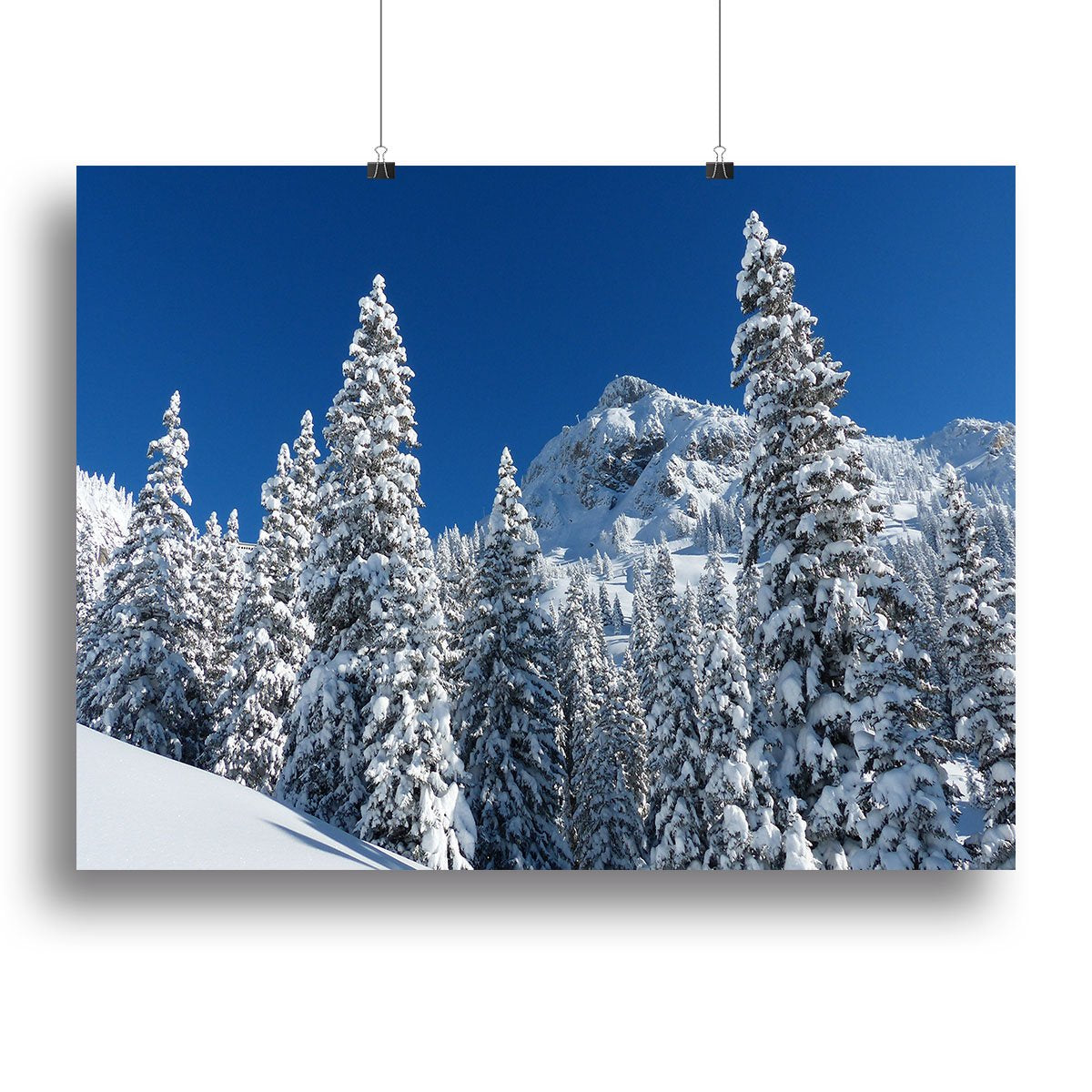 Snow Covered Trees Canvas Print or Poster