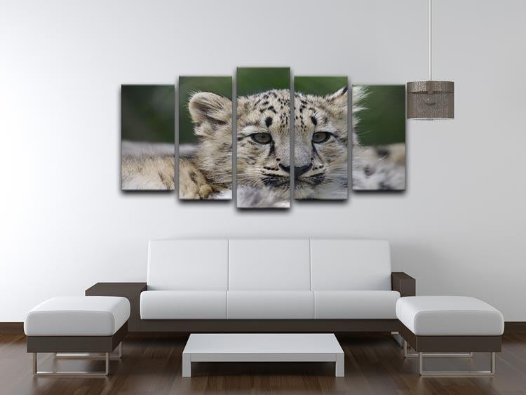 Snow Leopard cubs in the wild 5 Split Panel Canvas - Canvas Art Rocks - 3