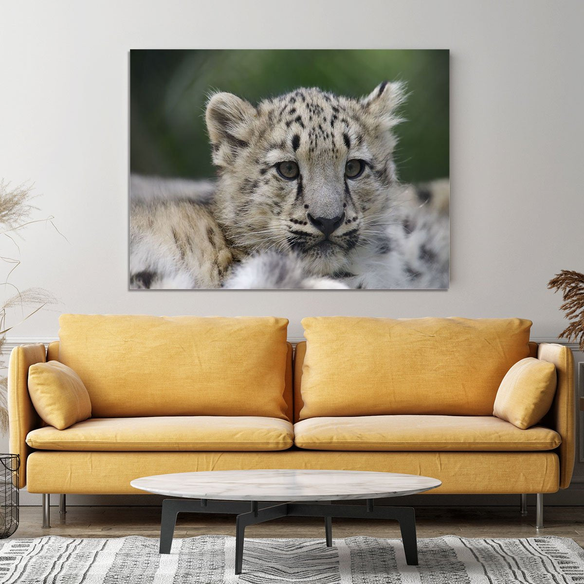 Snow Leopard cubs in the wild Canvas Print or Poster