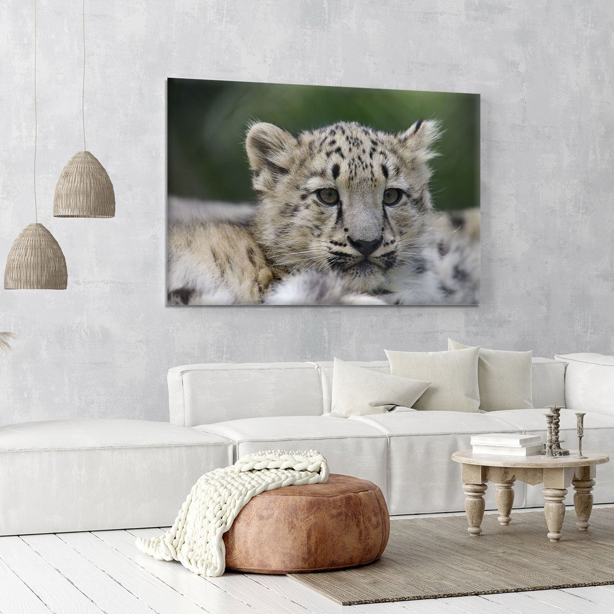 Snow Leopard cubs in the wild Canvas Print or Poster