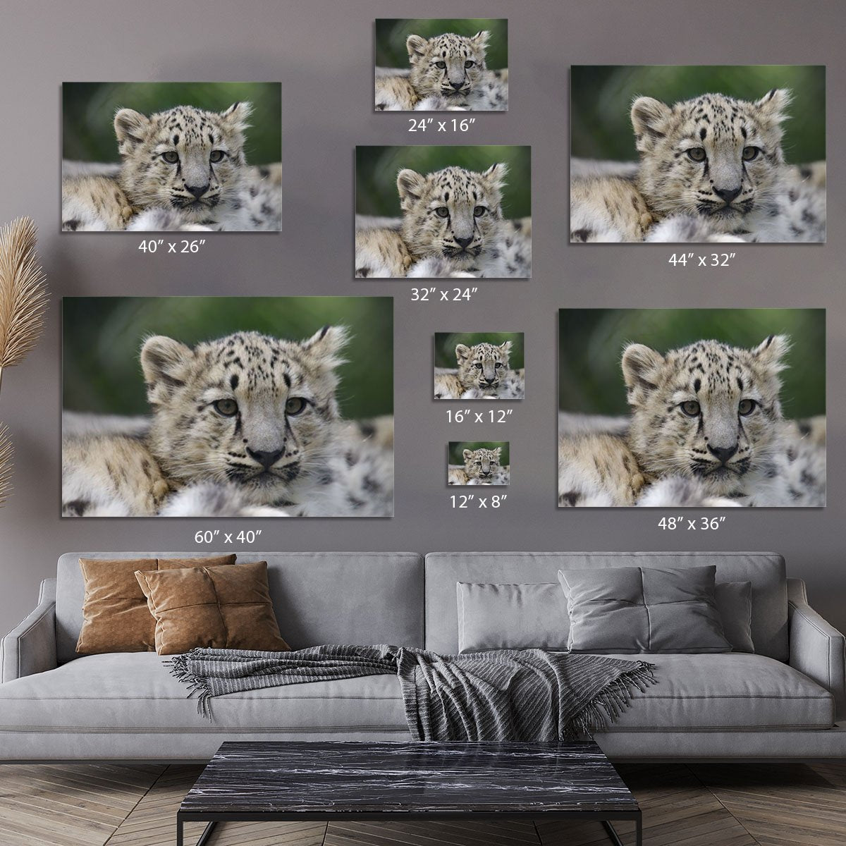 Snow Leopard cubs in the wild Canvas Print or Poster