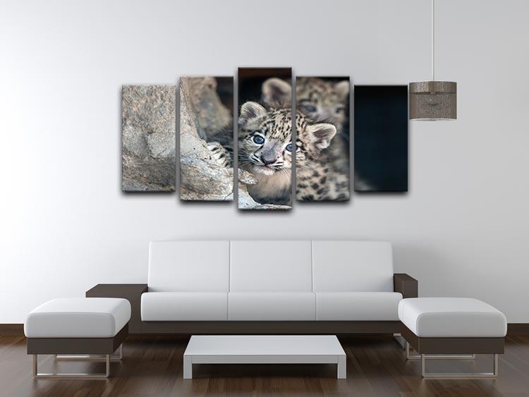 Snow leopard baby portrait 5 Split Panel Canvas - Canvas Art Rocks - 3