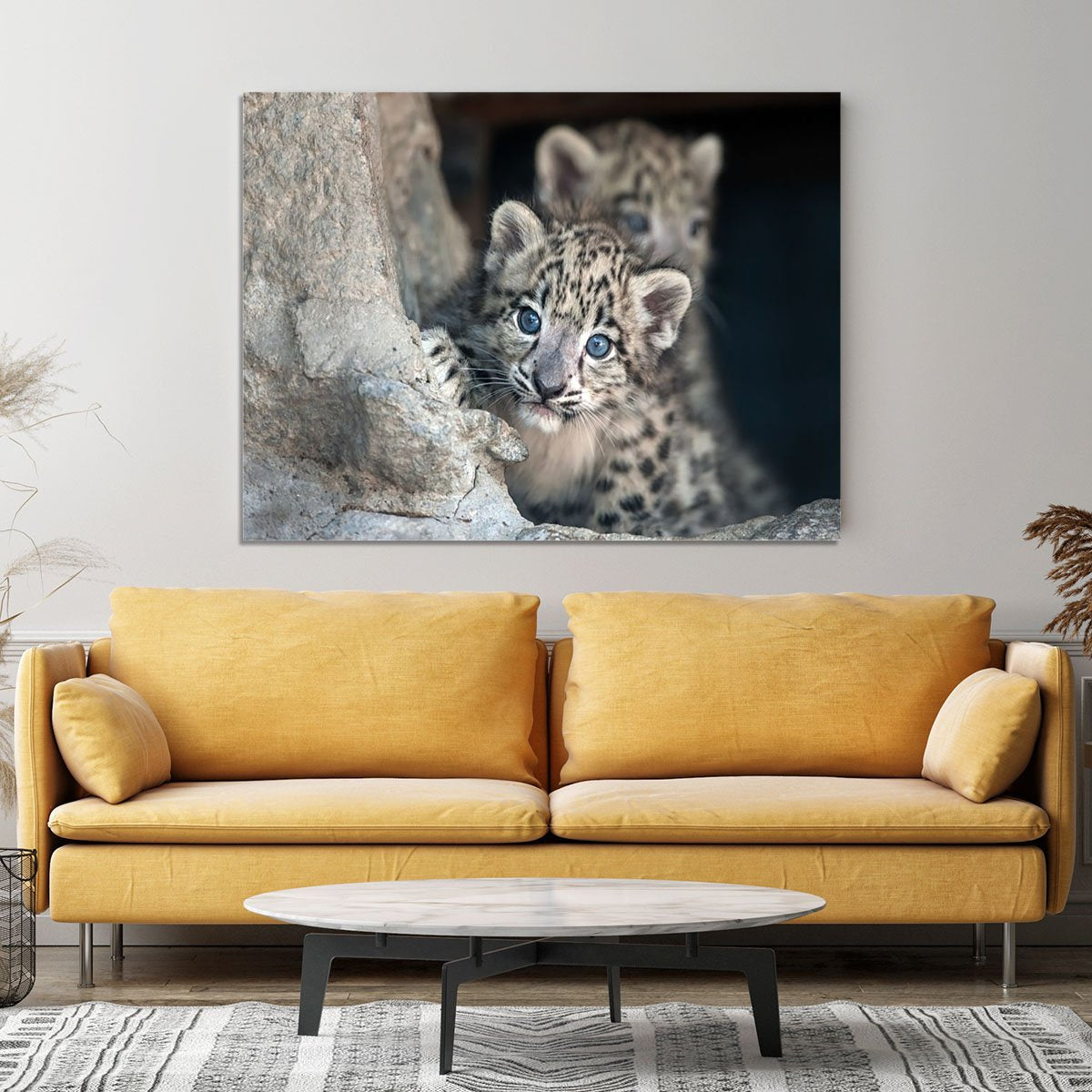 Snow leopard baby portrait Canvas Print or Poster