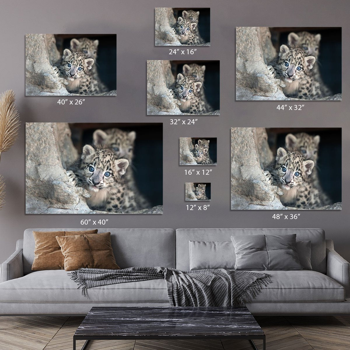 Snow leopard baby portrait Canvas Print or Poster