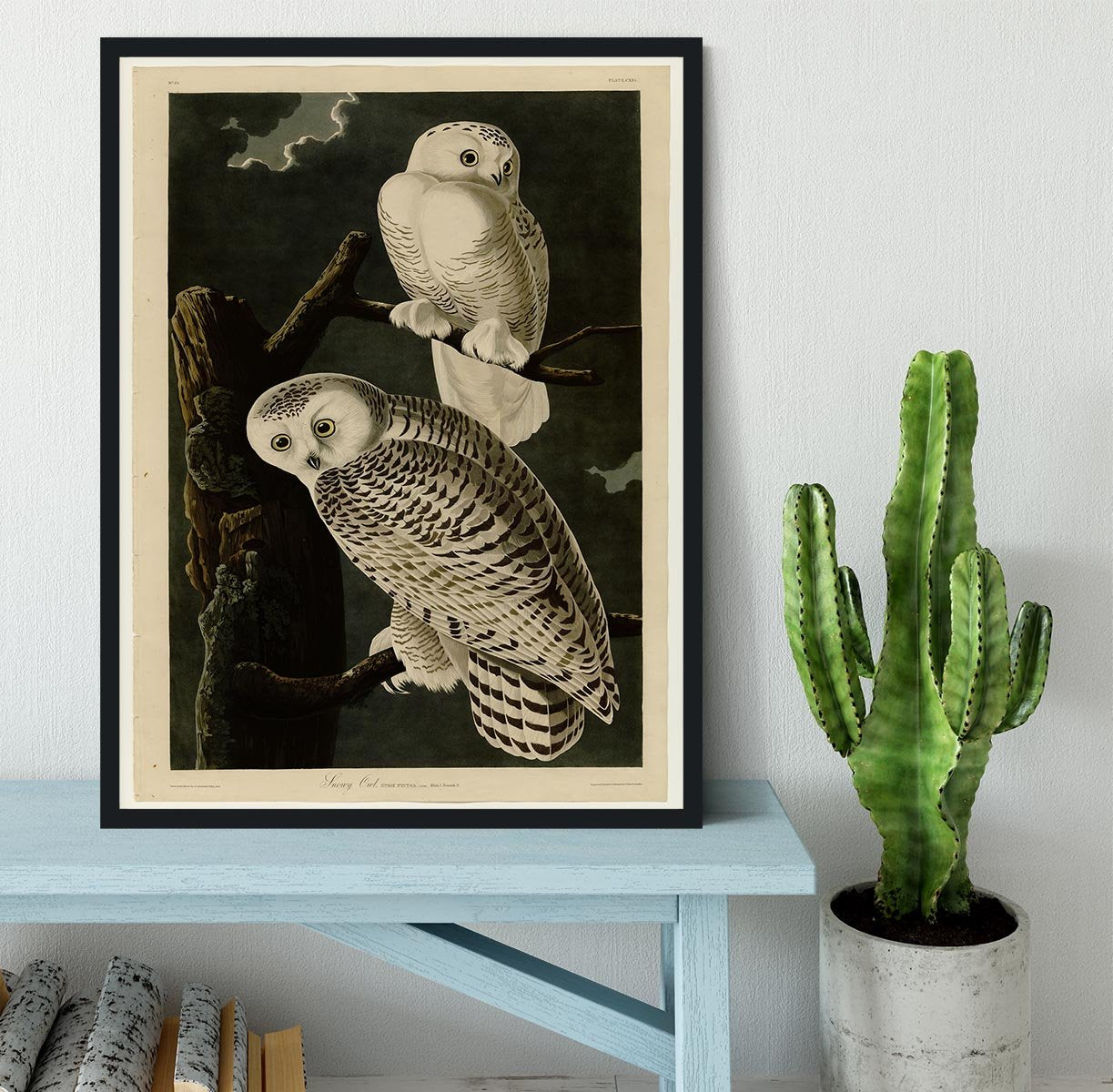 Snowy Owl by Audubon Framed Print - Canvas Art Rocks - 2