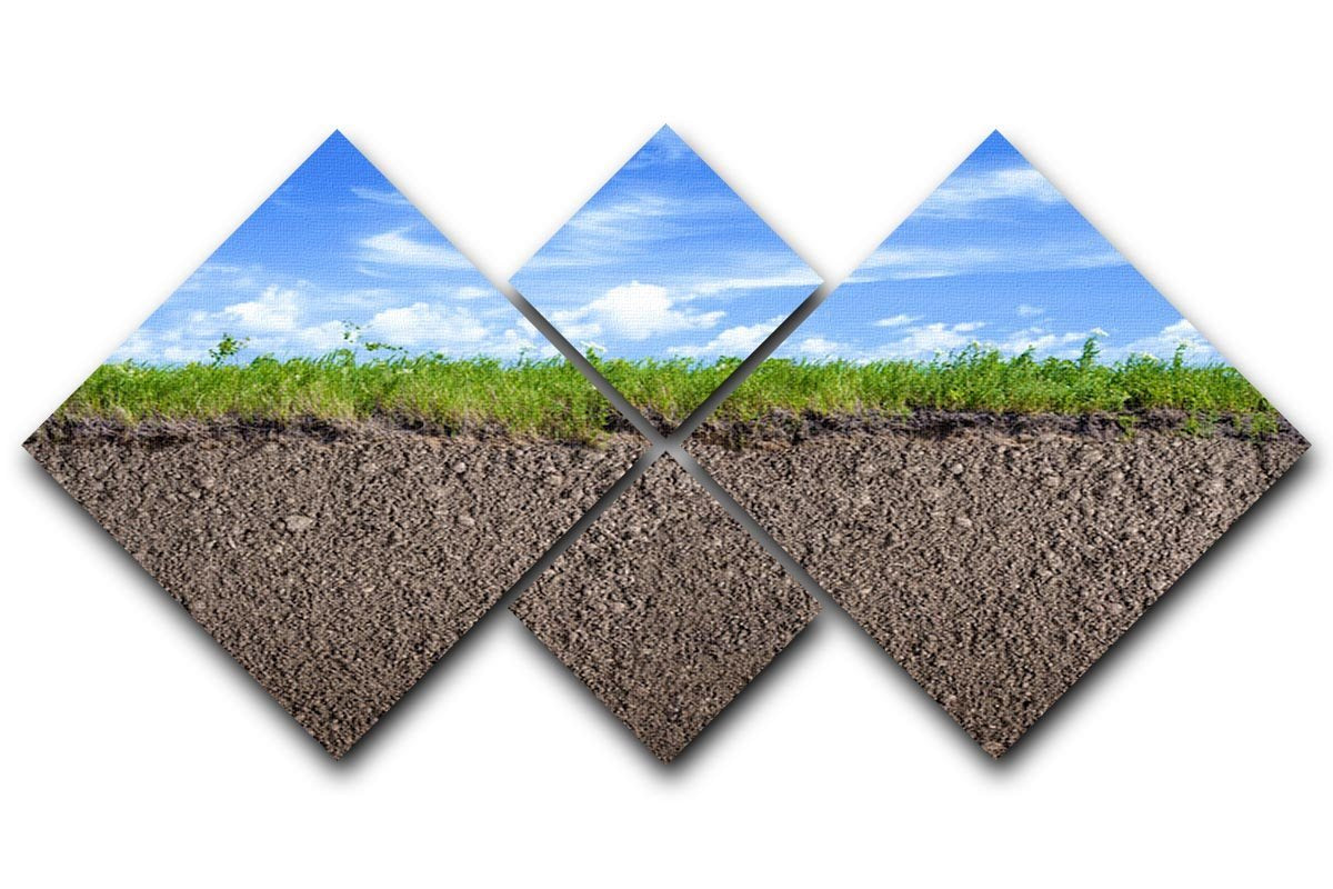 Soil ground 4 Square Multi Panel Canvas  - Canvas Art Rocks - 1