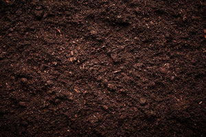 Soil texture Wall Mural Wallpaper - Canvas Art Rocks - 1