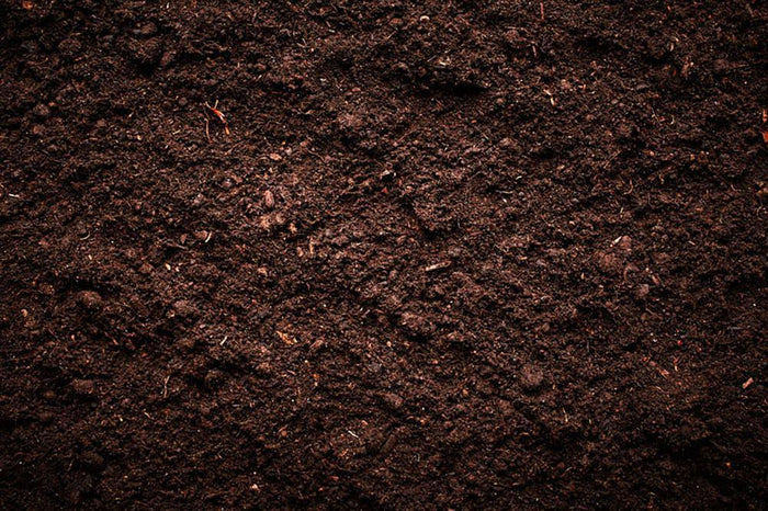 Soil texture Wall Mural Wallpaper