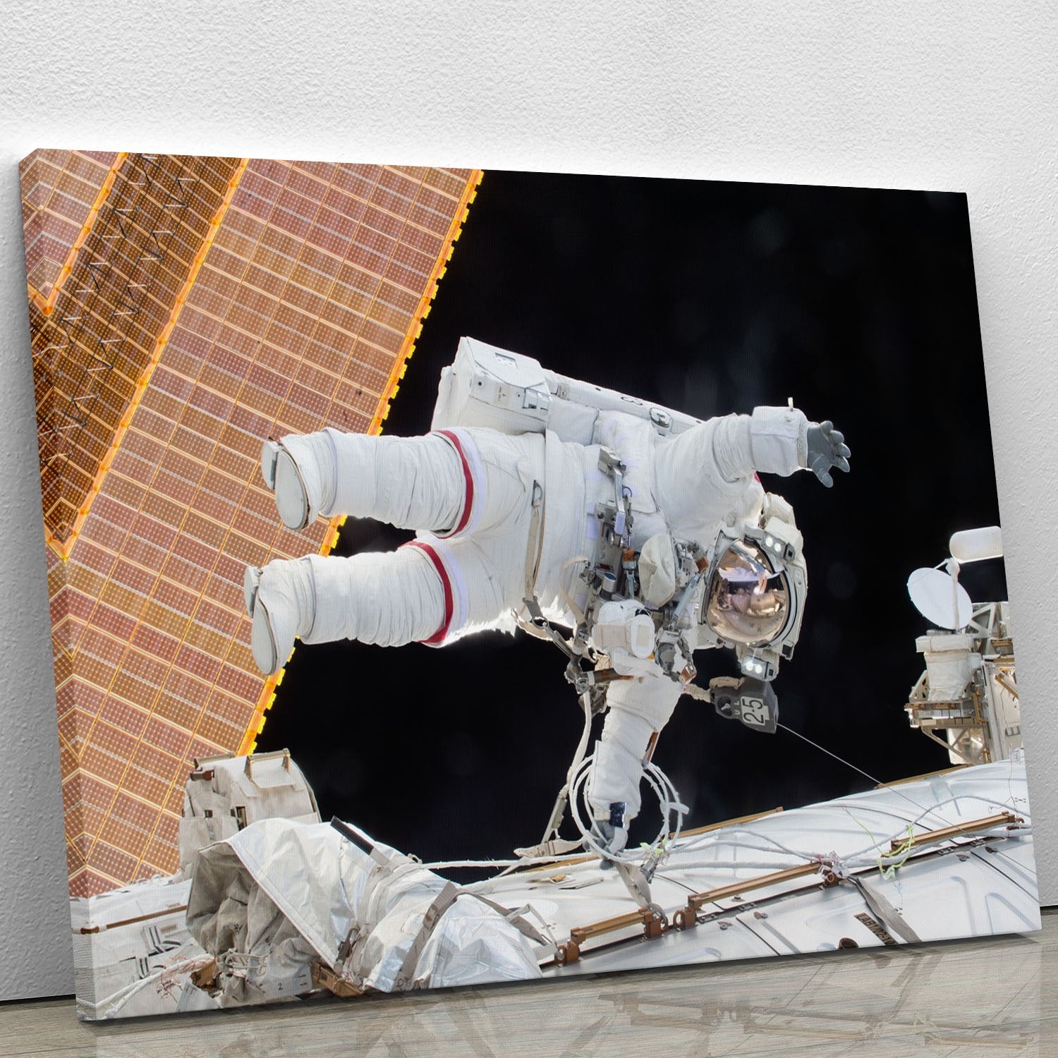 Space Walk Canvas Print or Poster