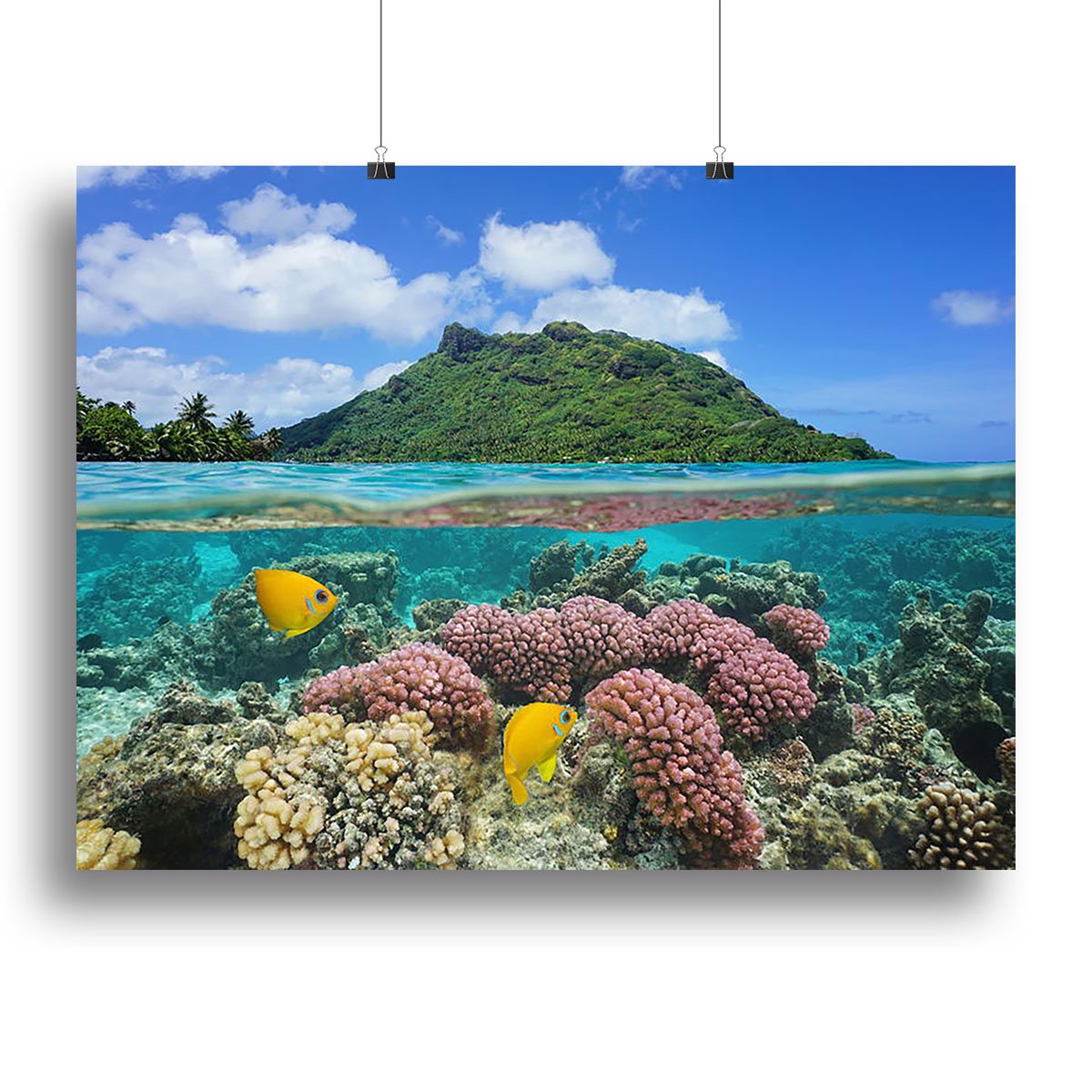 Split image above and below water surface Canvas Print or Poster