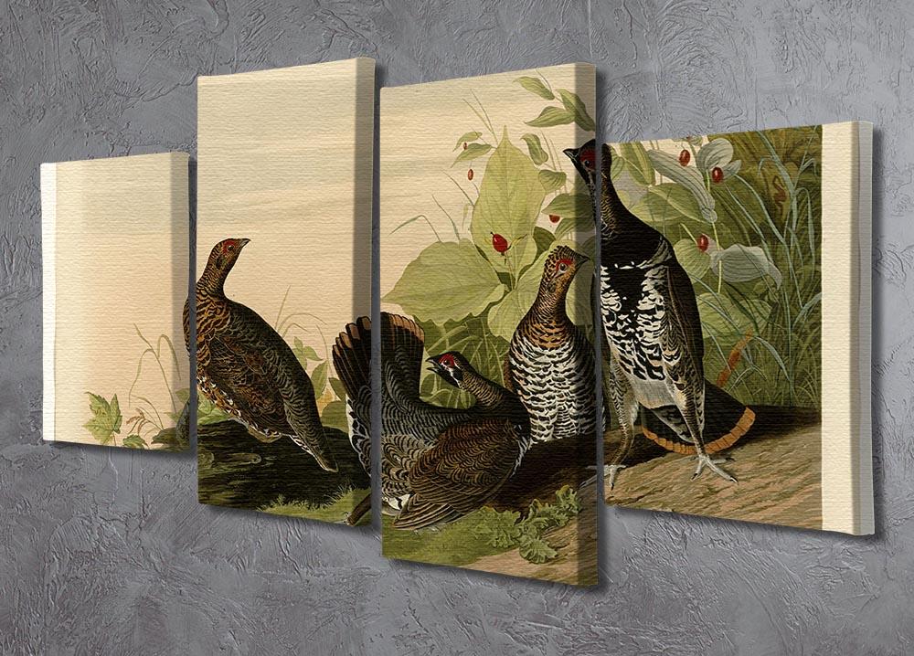 Spotted Grouse by Audubon 4 Split Panel Canvas - Canvas Art Rocks - 2
