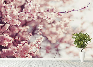 Spring Cherry blossoms Wall Mural Wallpaper - Canvas Art Rocks - 4