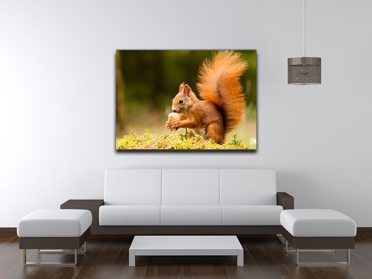 Squirrel with nut Canvas Print or Poster - Canvas Art Rocks - 4