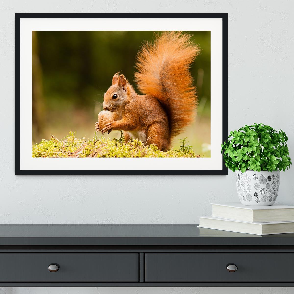 Squirrel with nut Framed Print - Canvas Art Rocks - 1