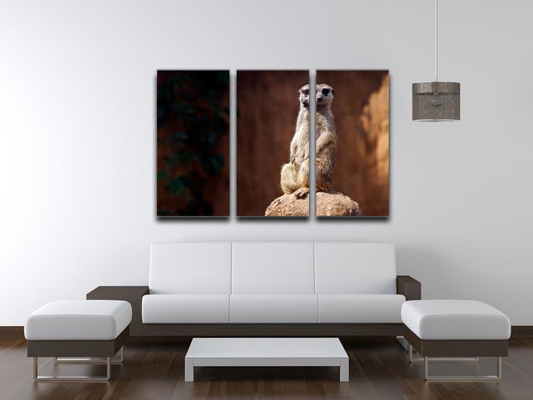 Standing African suricata meerkat 3 Split Panel Canvas Print - Canvas Art Rocks - 3